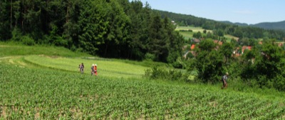bei-kirchenreinbach.jpg
