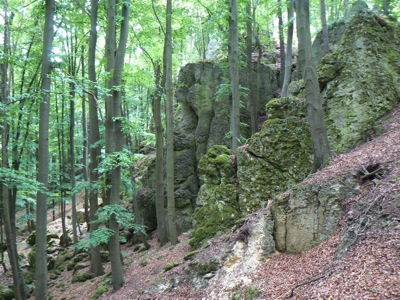 keltenburg.jpg